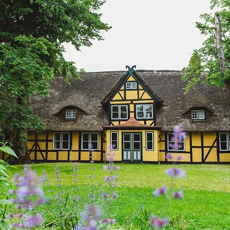 Herrenhaus Gut Dorotheenthal Damp Dış mekan fotoğraf